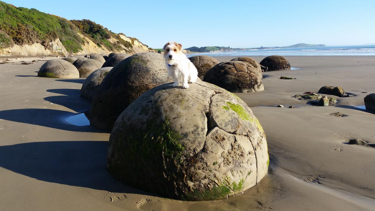 Moeraki Boulders Motel Hampden Buitenkant foto